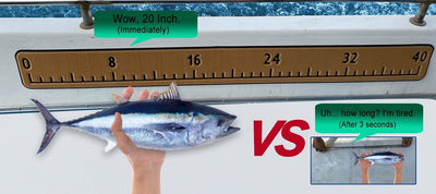 Enhance Your Fishing Experience with a Fish Ruler for Your Boat