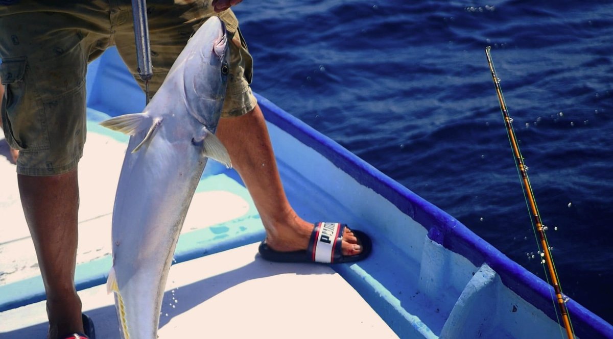 Tuna Fishing: A Comprehensive Guide to Mastering the Thrill of the Catch - HJDECK