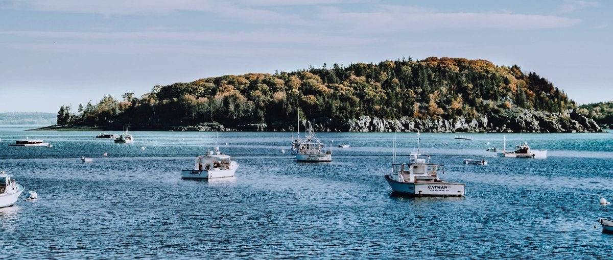 Your Ultimate Guide to Fishing in Rhode Island - HJDECK