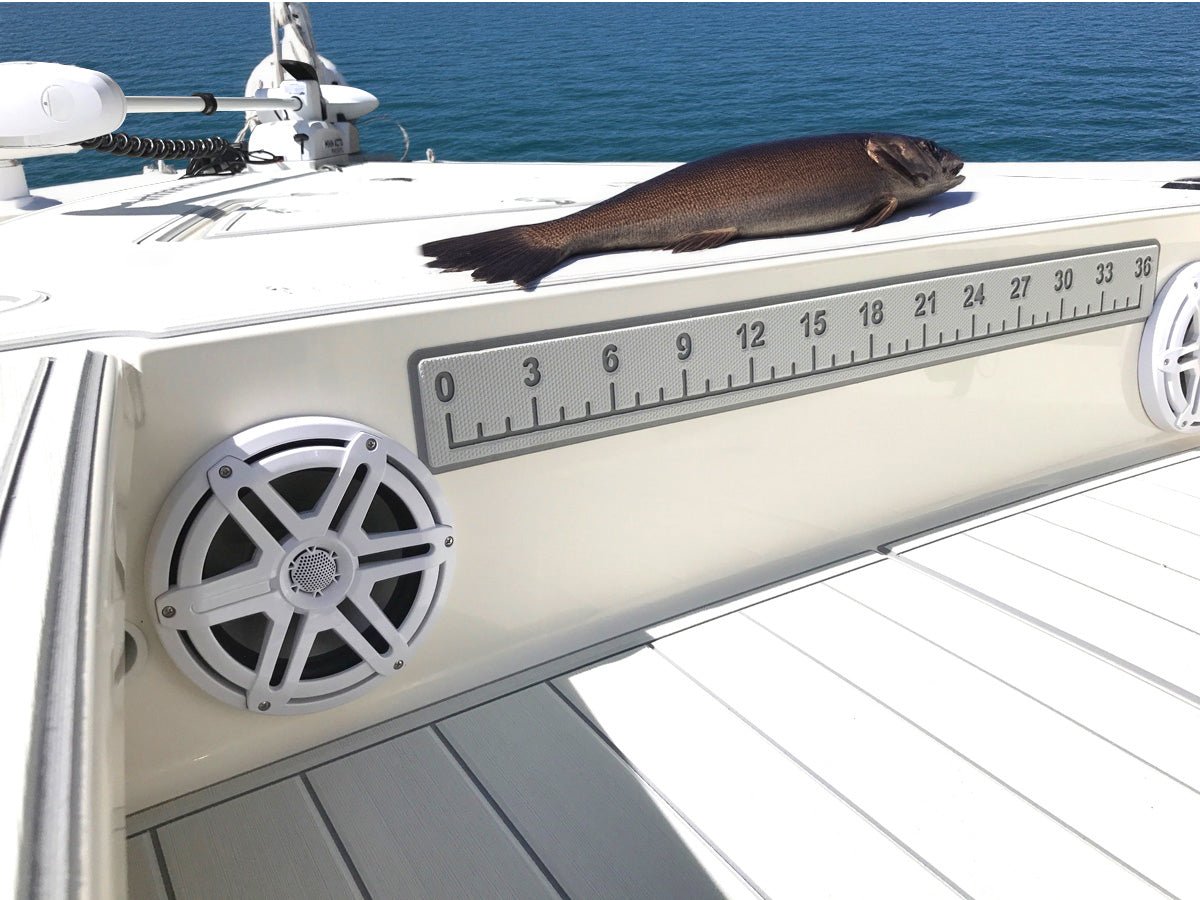 Fish Rulers - HJDECK