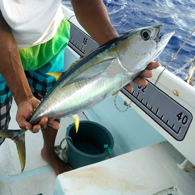 Upgrade Your Fishing Game with the EVA Fish Ruler for Boats - HJDECK